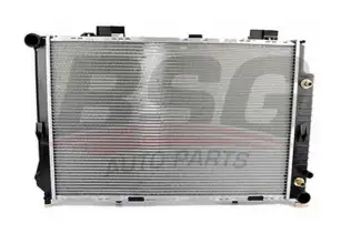 BSG 60520018 Su Radyatörü