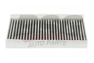 BSG 15145001 Polen Filtresi