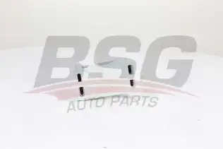 BSG 15506013 Yağ Radyatörü