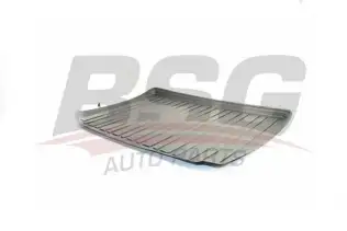 BSG 65935014 Bagaj Havuzu
