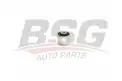 BSG 90700205 Dingil Burcu Arka