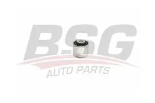BSG 90700205 Dingil Burcu Arka