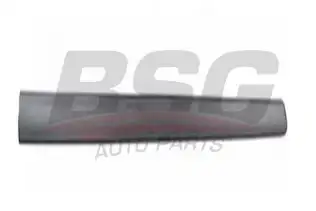 BSG 70924014 Kapı Bandı Ön Sol