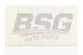 BSG 90145009 Polen Filtresi