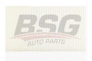 BSG 90145009 Polen Filtresi