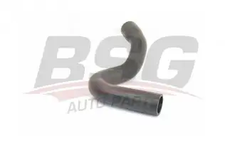 BSG 30720245 Turbo Hortumu
