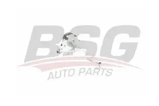 BSG 75975007 Kapı Gergisi Ön