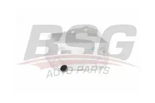 BSG 15506008 Yağ Radyatörü