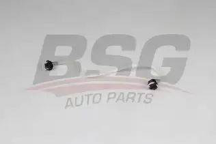 BSG 60725019 Yakıt Hortumu