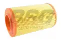 BSG 70135003 Hava Filtresi