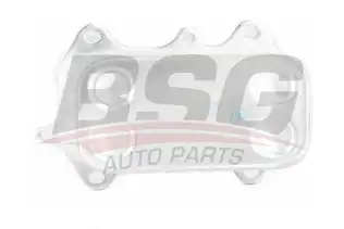 BSG 90506013 Yağ Soğutucusu