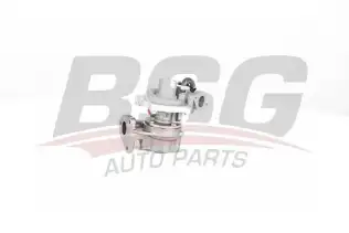 BSG 65100001 Turbo Sarj