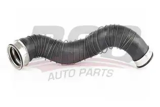 BSG 60720040 Turbo Hortumu