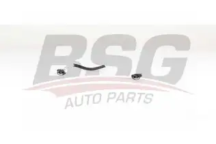 BSG 60725011 Yakıt Hortumu