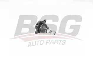BSG 25310025 Rotil Alt