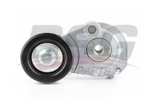 BSG 65615011 V Kayış Gergi Rulmanı