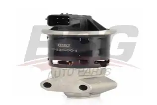 BSG 16836001 Egr Valfi