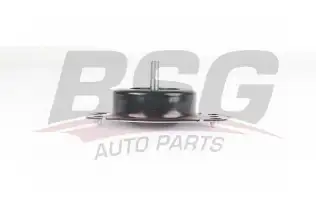 BSG 75700008 Motor Takozu Sağ