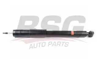 BSG 60300054 Amortisör Arka