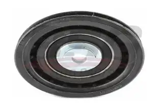 BSG 70615025 V Kayış Gergi Rulmanı