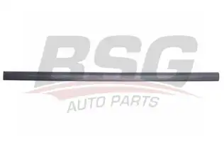 BSG 65925030 Kapı Bandı Ön Sol