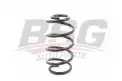 BSG 90305012 Helezon Yayı Ön