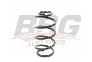 BSG 90305012 Helezon Yayı Ön