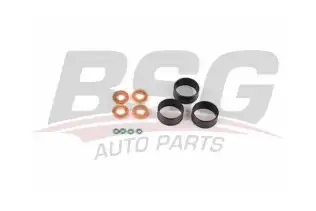 BSG 30116147 Enjektör Oring Takımı