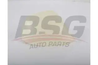 BSG 90915009 Ayna Kapağı Sağ
