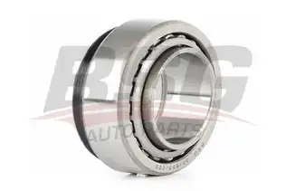 BSG 30605009 Porya Rulmanı Ön