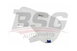 BSG 65550004 Radyatör Yedek Su Deposu
