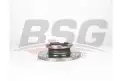 BSG 30210044 Fren Diski Arka