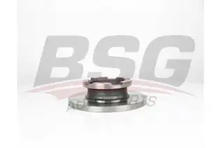 BSG 30210044 Fren Diski Arka