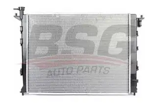 BSG 40520027 Su Radyatörü