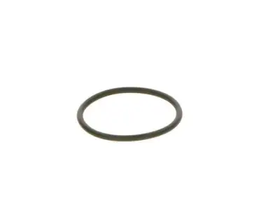 BOSCH F00R0P0166 O-Ring - 3. Görsel