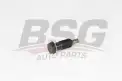 BSG 60109011 Eksantrik Zincir Gergisi