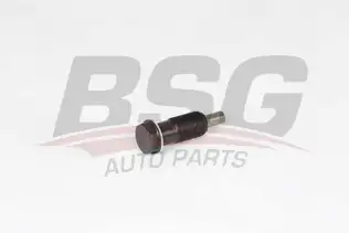 BSG 60109011 Eksantrik Zincir Gergisi