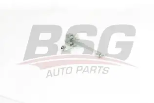 BSG 75975009 Kapı Gergisi Ön