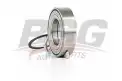 BSG 70605005 Porya Rulmanı Ön