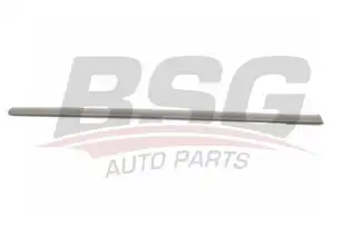 BSG 90924043 Kapı Bandı Arka Sol