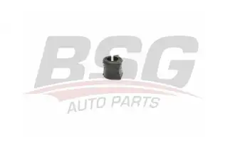 BSG 25700006 Viraj Askı Rotu Ön