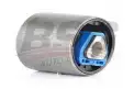 BSG 15700010 Salıncak Burcu
