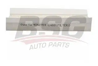 BSG 30145007 Polen Filtresi