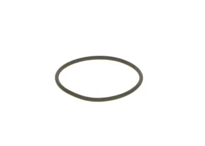 BOSCH F00N201306 O-Ring - 6. Görsel
