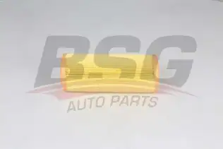 BSG 25135004 Hava Filtresi