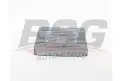 BSG 30145021 Polen Filtresi