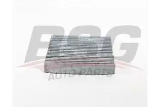 BSG 30145021 Polen Filtresi