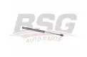 BSG 75980007 Bagaj Amortisörü