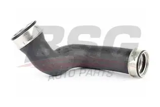 BSG 60720029 Turbo Hortumu