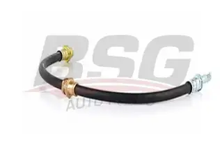 BSG 15730005 Fren Hortumu Arka